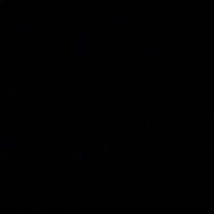 Meet your Posher, Valerie